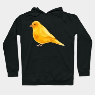 Everybirdy Golder Birds Pattern Hoodie